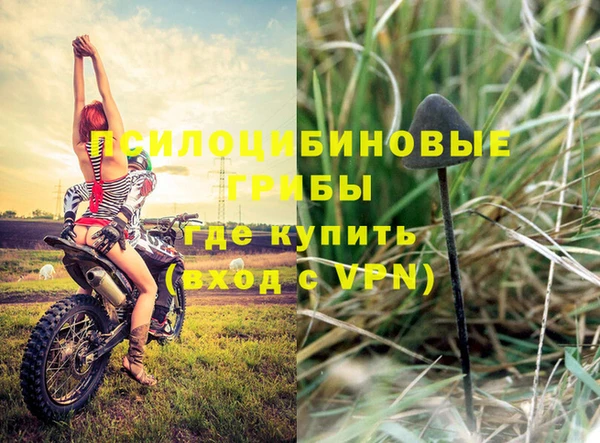 спайс Беломорск