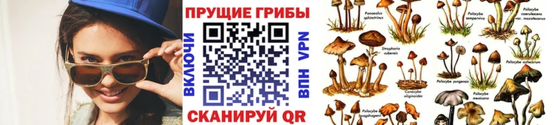Галлюциногенные грибы ЛСД  МЕГА ONION  Волжск  наркотики 